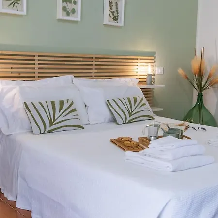 Leccino Tra Collina E Mare By Yohome * Fiorenzuola di Focara