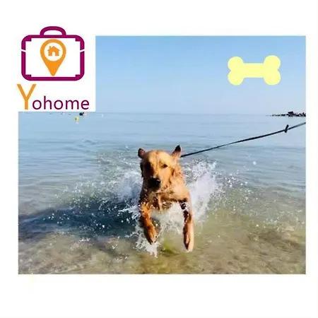 Leccino Tra Collina E Mare By Yohome