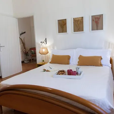 Leccino Tra Collina E Mare By Yohome Fiorenzuola di Focara